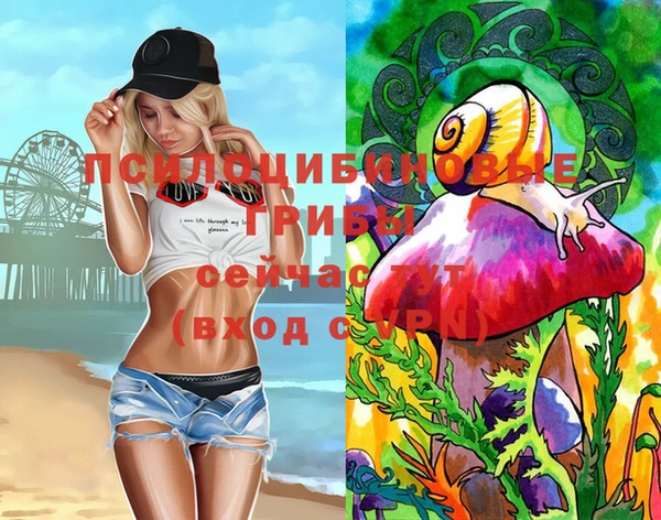 спайс Алексеевка