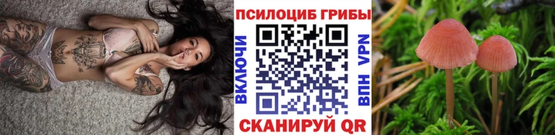 где продают   Апрелевка  Галлюциногенные грибы GOLDEN TEACHER 